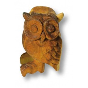 Coruja - 7,00 € 